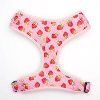 (ร้อน) ดอกไม้ปลอกคอสุนัข Strawberry Girly ส่วนบุคคลพร้อมสายจูงและสายรัดที่เข้าชุดกัน