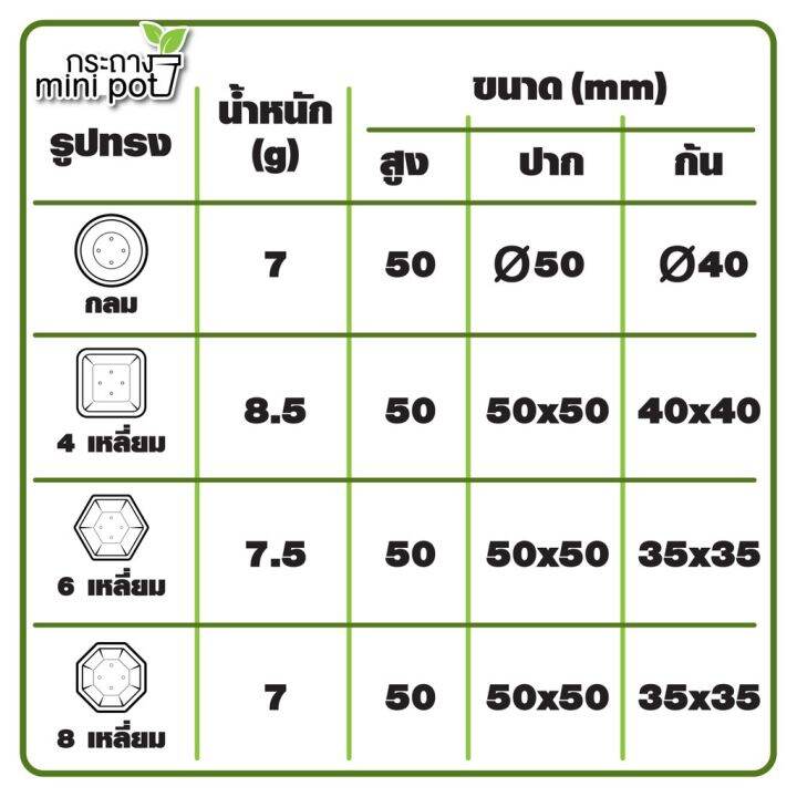 แพ็คละ-10-ใบ-กระถางต้นไม้เส้นใยสับปะรด-ขนาด-2-นิ้ว-กระถางแคตตัส-พร้อมส่ง-by-bleaf