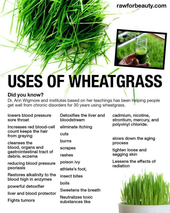 ต้นอ่อนข้าวสาลี-superfoods-organic-wheat-grass-powder-240-g-california-gold-nutrition-ผงวีทกราส