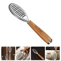 Fish Tool Skin Scale Scaler Remover Cleaning Scales Scraper Peeler Brush Steel Stainless Kitchen Cleaner Grater Descaler