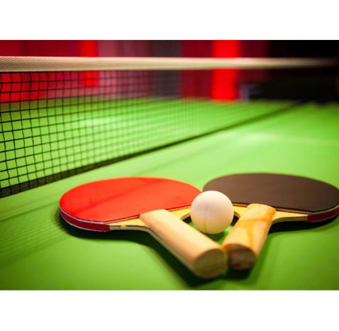 Table Tennis Racket Beginner Table Tennis Bat Pimples In Rubber Ping