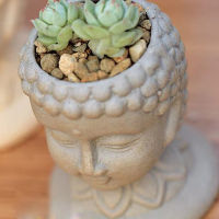 Shakyamuni Flower Pot Mould Molds for Buddha Head Succulent Planting Container Silicone Mould Concrete Candle Vessel Mould