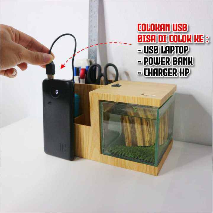 Aquarium Mini untuk Meja Kantor