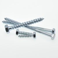 M6 M8 Hexagon Head Wood Screws Galvanized carbon steel Self-tapping Screw Nails Screws  Fasteners