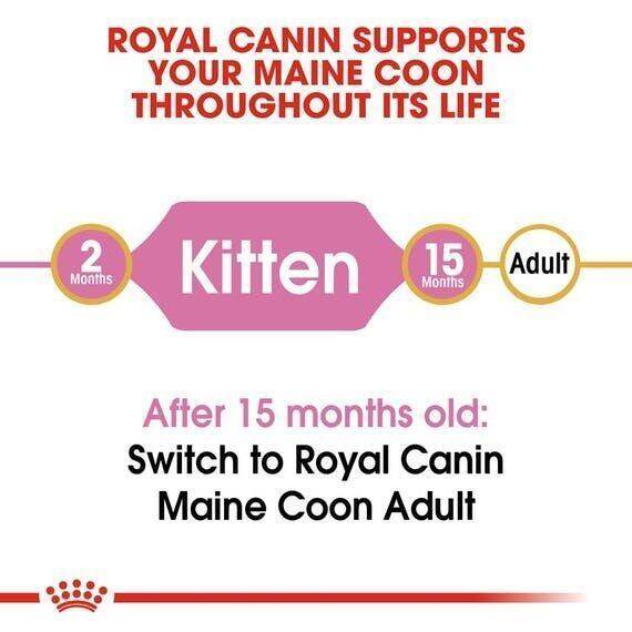 royal-canin-kitten-maine-coon-cat-food-อาหารแมว-รอยัล-คานิน-สำหรับลูกแมวพันธุ์เมนคูน-อายุ-4-15-เดือน-ขนาด-10-กก