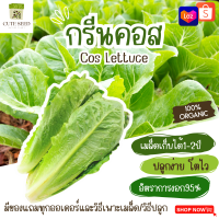 เมล็ดพันธุ์ผักกรีนคอส 300เมล็ด อัตราการงอก95% ปลูกง่าย โตไว(มีของแถมเป็นเมล็ดผักกวางตุ้งทุกออเดอร์)