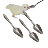 ♠ 1-5 Pcs Pcs Bird Feeding Spoon Portable Aluminum Bird Feeding Supplies Baby Bird Feeding SpoonBird Tableware Feed Spoon