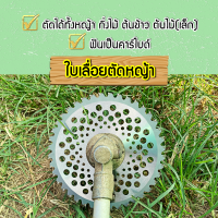 ใบเลื่อยวงเดือน ตัดหญ้า ตัดกิ่งไม้ ตัดต้นข้าว 10"x 40 ฟัน ฟันคาร์ไบด์