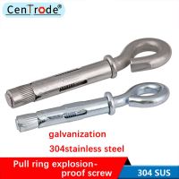 304 stainless steel eye expansion hook galvanized ring pull explosion screw pendant lamp hook swing hook screw M6-M12 Nails Screws Fasteners