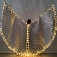 hot【DT】 New Led Belly wings show props fluorescent dance  belly costume