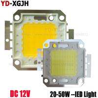 【♘COD Free Cas♘】 lezhandai00470736 Dc 12V ไม่มีโปรแกรมควบคุมที่จำเป็น Led โคมไฟฟลัดไลท์10W 12W 20W 30W 50W ก้อนกลมที่สว่างมาก Diode Smd สำหรับ Floodlight ไฟสปอตไลท์สำหรับนอกบ้าน