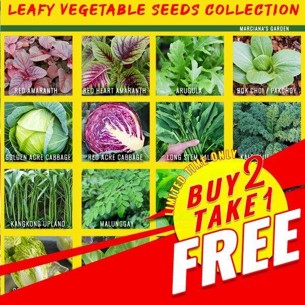 LEAFY VEGETABLES SEEDS COLLECTION (Petchay Amaranth Bokchoy Cabbage ...