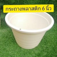 กระถางพลาสติก 6 นิ้ว สีขาวครีม #กระถางใส