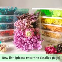 DIY Dried Flowers for Making Mobile Phone Case Candle Handmade Crafts Epoxy Resin Pendant Necklace Jewelry Boxed Dried Petals