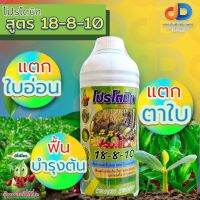 ปุ๋ยน้ำ 18-8-10 + ซิลิคอน ปุ๋ยน้ำฉีดทางใบ ขนาด 1 ลิตร เพิ่มการแตกใบอ่อน ฟื้นฟูต้นหลังเก็บเกี่ยว บำรุงผลอ่อน