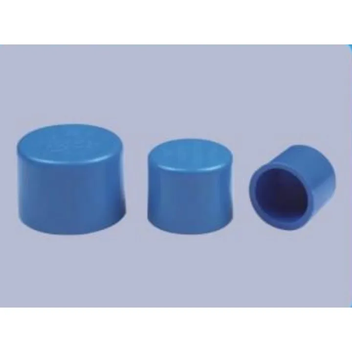Bule pvc end cap 2063MM Lazada PH