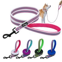 Reflective Dog Leash Soft Nylon Strip Pet Puppy Walking Leash Running Training Lead Rope For Small Medium Large Dogs Pink Blue