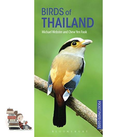 one-two-three-gt-gt-gt-gt-birds-of-thailand
