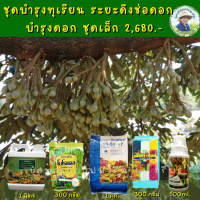 ชุดบำรุงดอกทุเรียน ระยะไข่ปลาช่วยดึงช่อดอก บำรุงดอก ขั้วดอกเหนียวแข็งแรง ปลอดเชื้อราไวรัส ไม่หลุดร่วงง่าย