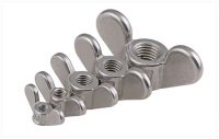 Sayap Kupu-kupu Kacang A2 Stainless Steel Mur Sayap Tangan Mengencangkan Kacang M4 M5 M6 M8 M10 M12 M16 M20