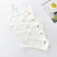 Kids Teen Underwear Baby for 8-10 Years Old Kids Training Underwear