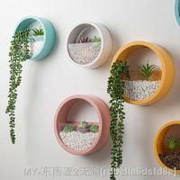 【hot】◄☈ Mounted Hydroponic Flowerpot Circular