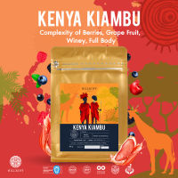 HILLKOFF : Kenya Kiambu Arabica Specialty Roasted เมล็ดกาแฟคั่ว กาแฟ อาราบิก้าแท้ 100% อราบิก้า สเปเชียลตี้ เคนยา ขนาด 200 กรัม