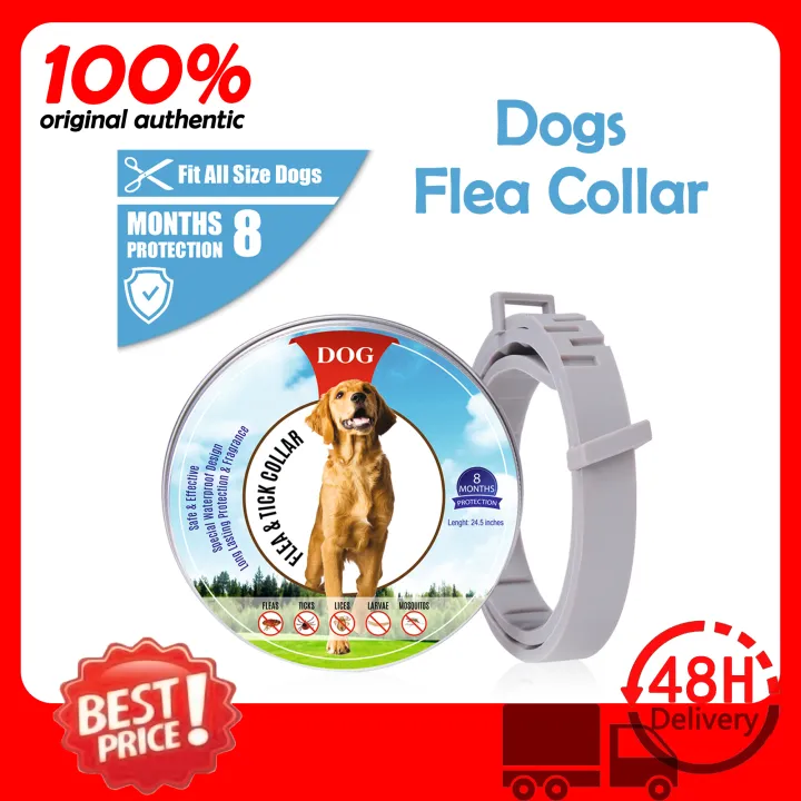 Flea Collar for Dogs 8month Flea and Tick Prevention for Dogs 3 Months