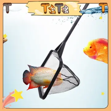 Recratable Handle Goldfish Shrimp Catch Round Fishing Landing Net for  Aquarium