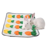 〖Love pets〗 Rabbit Sniffing Pad Bunny Puzzle Play Interactive Snack Mat Anti-boring Toys For Lapin Hamster Guinea Pig Chinchilla Pet Supplie