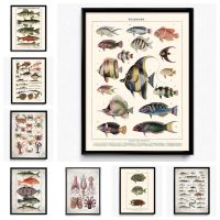 Luyameishop Antique Botanical Fish Art พิมพ์สำหรับตกแต่งบ้านระดับไฮเอนด์