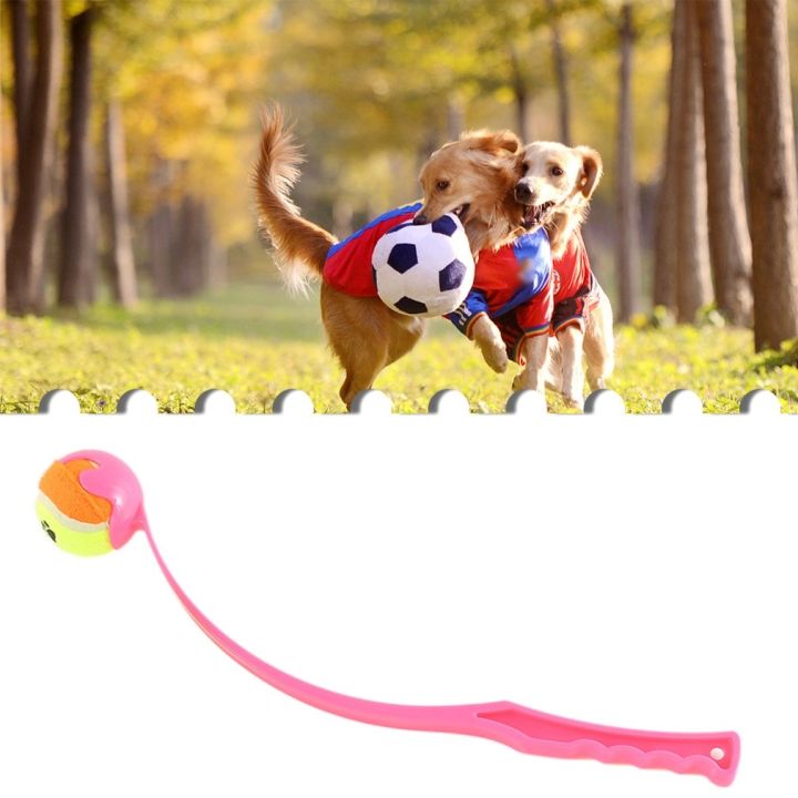 pets-baby-สัตว์เลี้ยง-tossingdog-การฝึกอบรม-fluorescentball-โยนกลางแจ้งด้วยการฝึกอบรมเทนนิสโยนสัตว์เลี้ยง-toy2022new-แบบโต้ตอบ