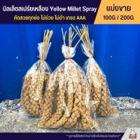 มิลเล็ตสเปรย์เหลือง สำหรับนกแก้ว หนูแฮมสเตอร์ เกรด AAA คัดสวยทุกช่อ Yellow Millet Spray (แบ่งขาย 100G / 200G)