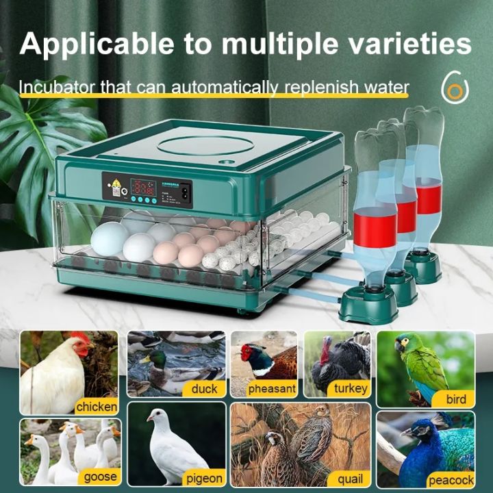 ไข่ไก่อัตโนมัติ-incubator-brooder-สัตว์ปีกฟาร์มสัตว์อุปกรณ์เสริมเครื่องมือความร้อนห่านเป็ดนกนกกระทาไข่-light-incubator