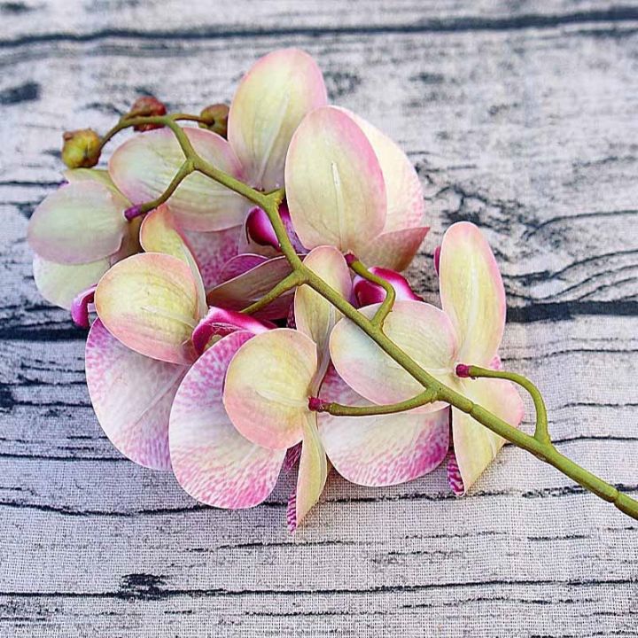 cc-small-orchid-6-heads-bundle-fake-drapery-wall-wedding-decoration-diy-artificial-phalaenopsis