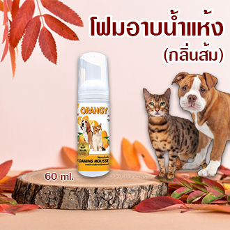 โฟมอาบน้ำแห้ง (สุนัข-แมว) กลิ่นส้ม ปลอดภัย เลียได้ 60 ml.
