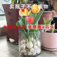 [COD] Vase transparent glass hydroponic flower perfume plant high temperature resistant bottle arrangement green dill lily