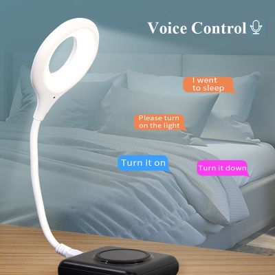 Newest LED Desk Lamp Portable Night Light Lamp Freely Foldable Table Lamp Voice Small Night Light USB Intelligent Voice Lights