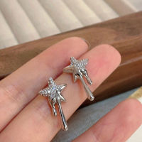 HotFashion Punk Zircon Star Titanium Steel Ear Stud Earring Black Small Star Earrings For Women Girls Trendy Lady Jewelry Y2k