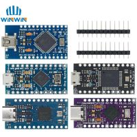 Mini/Type C/Micro USB Pro Micro ATMEGA32U4 5V/16MHZ module With the bootloader for arduino with 2 row pin header for arduino