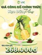 CHÍNH HÃNG Kẹo Dứa Giảm Cân PLUS 7 Vị xuống nhanh 2-3kg tuần Cam Kết Hiệu