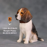 16ขนาด Mr.z No.30 Beagle ลูกสุนัข BP001BP002สุนัขจำลองสัตว์รุ่นของเล่นสำหรับ12 รูปการกระทำตุ๊กตาอุปกรณ์เสริม