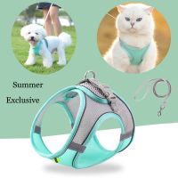 ▣﹍ Pet Cat Dog Harness Breathable Puppy Harness Leash for Small Dog Cat Leash Reflective Harness Walking Outdoor Clothes Vest Chest