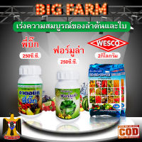 สินค้าชุด เร่งความสมบูรณ์ของลำต้นและใบ 1.พี่บิ๊ก 250มล.(ฮอร์โมน) + 2.ฟอร์มูล่า 250มล.(สารจับใบ) + 3.WESCO (ปุ๋ย 30-20-10) 2กก. / ผสมน้ำได้ 1,000 ล.