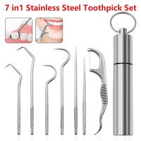 7 in 1 Toothpick Set Metal Stainless Steel Oral Cleaning Tooth Flossing Portable Toothpick Floss Teeth Cleaner with Storage Tube