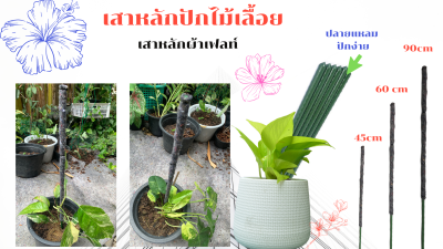 เสาหลักพันผ้าเฟลท์ Flora felt, เสาปักไม้เลื้อย, เสาไม้เลื้อย