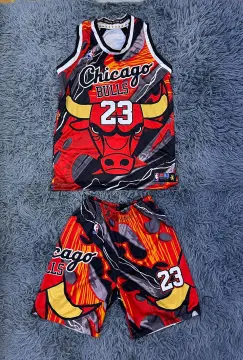  Zach LaVine Chicago Bulls Boys Kids 4-7 Red Icon