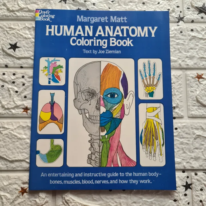 HUMAN ANATOMY Coloring Book ByJoe ziemian Lazada PH