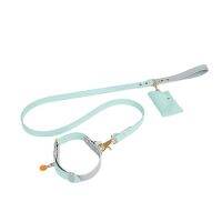 Collar Leash Set PU leather dog chain accessories Cat Leads For Outdoor Training Walking