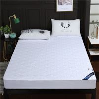 ผ้ารองกันเปื้อน รัดรอบเตียง360 องศา ปลอกที่นอน Mattress Protector